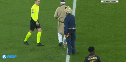 反转？重回女排执教？郎平发声，官宣决定，赖亚文等到，赵勇看懂（反转在即？郎平回应是否回归女排执教：最新决定官宣，赖亚文等来结果，赵勇看明白了）